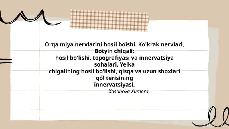 Orqa miya nervlarini hosil boishi. Ko'krak nervlari, Botyin chigali
