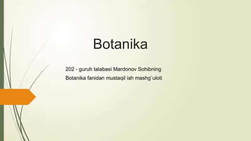 Botanika, Paleozoy ve mezozoy dönemlerinde geniş bir şekilde var olan açık tohumlu bitkilerin evrim süreci ve morfolojik özellikleri hakkında bilgi veren bir ders materyali.