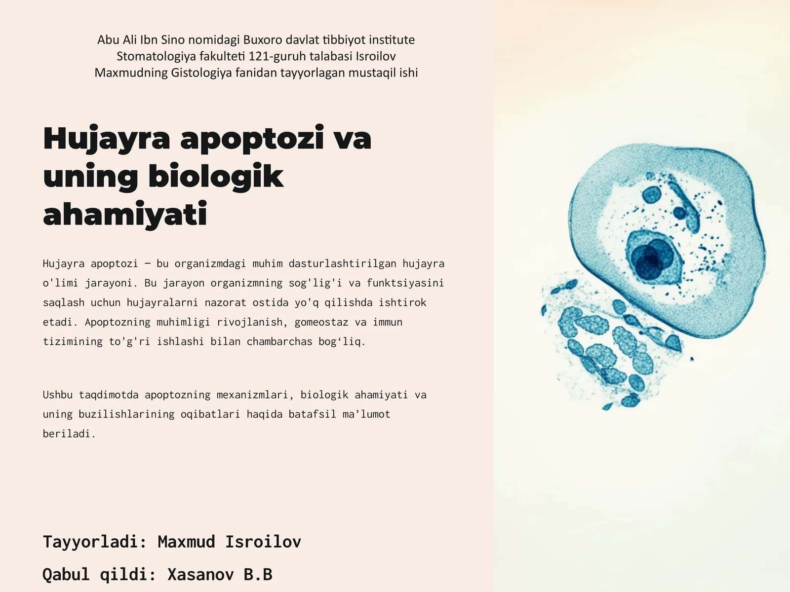 Hujayra apoptozi va uning biologik ahamiyati