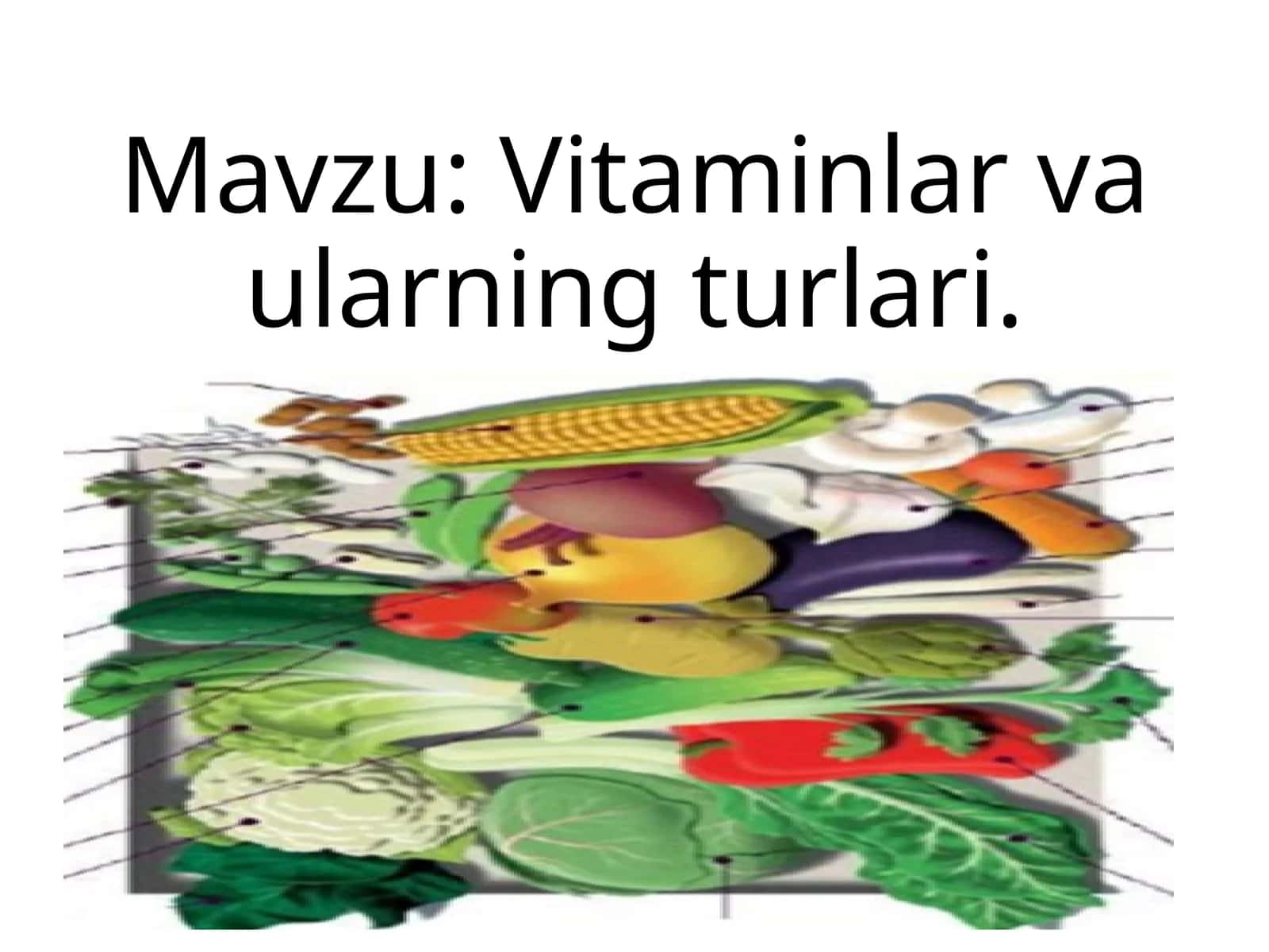 Vitaminlar va ularning turlari