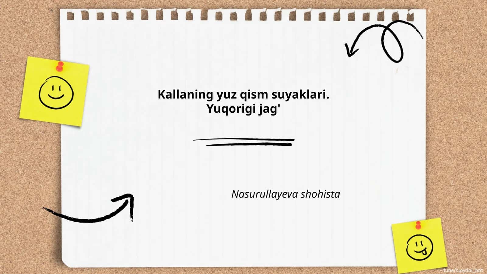 Yuqorigi jag' anatomiyasi