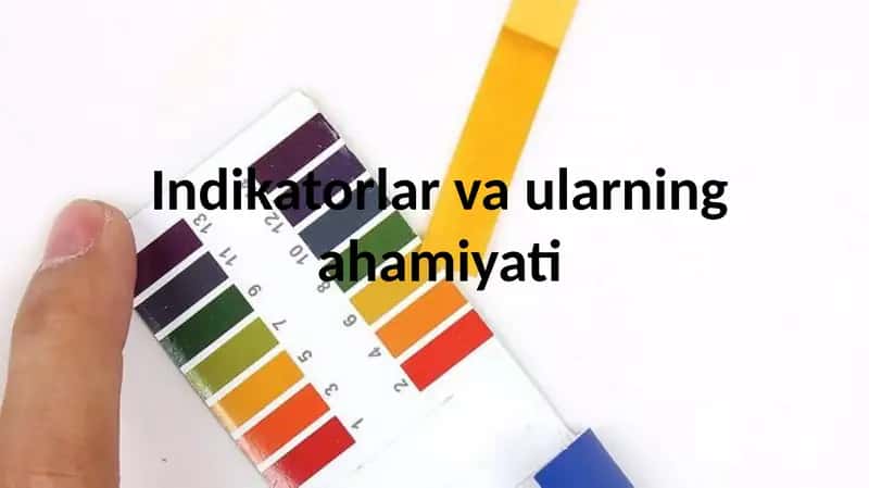 Indikatorlar va ularning ahamiyati