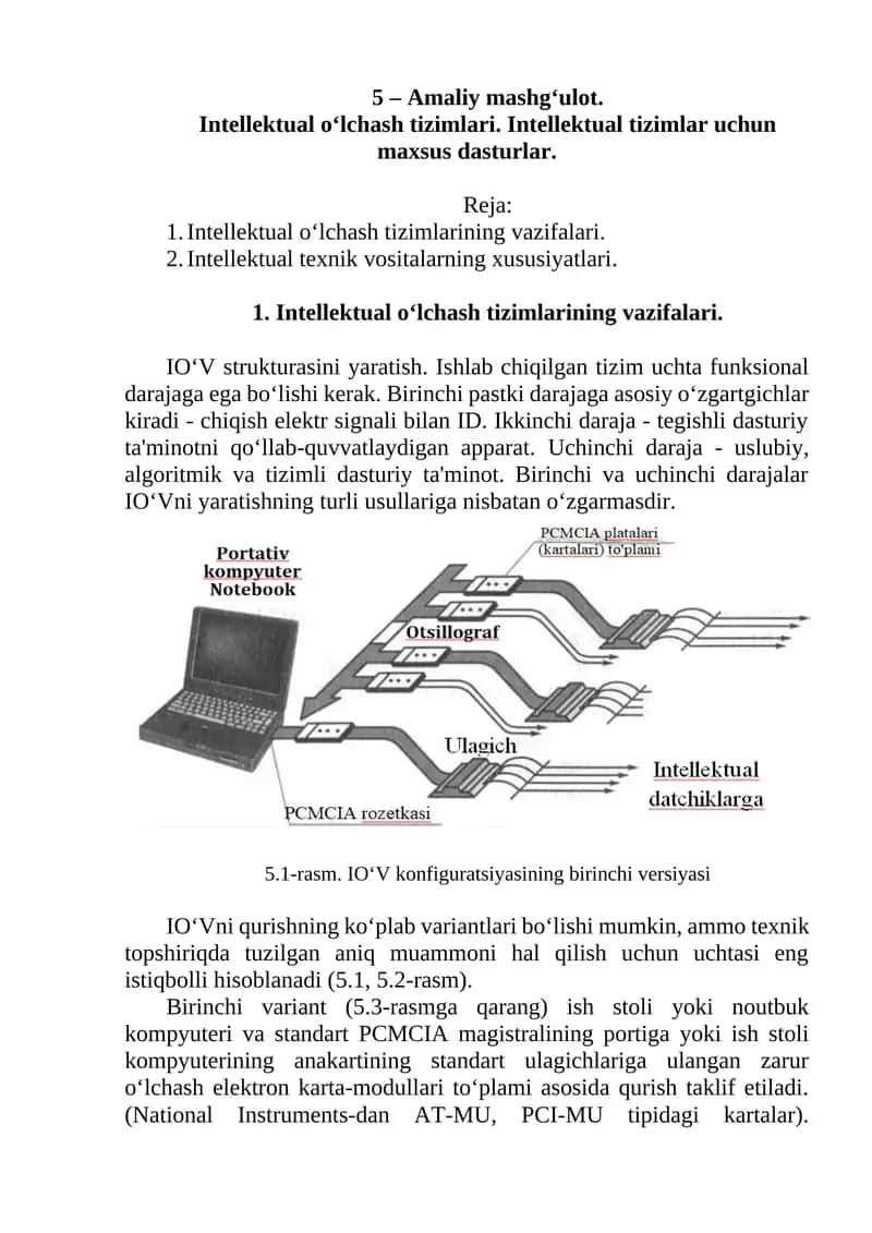 Intellektual o‘lchash tizimlari