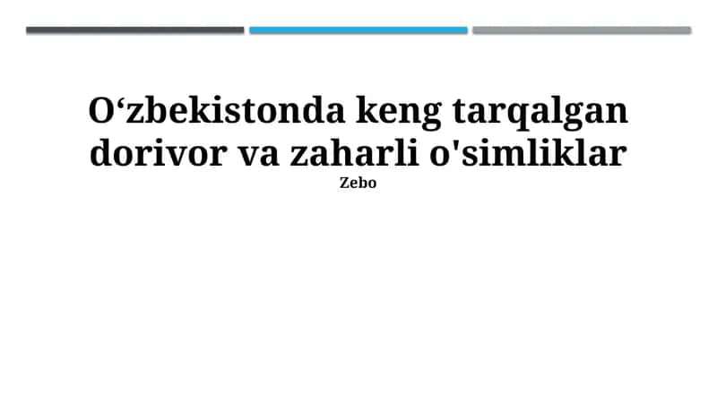 Qoraqalpoq bodomi