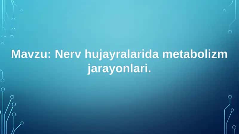 Nerv hujayralarida metabolizm jarayonlari