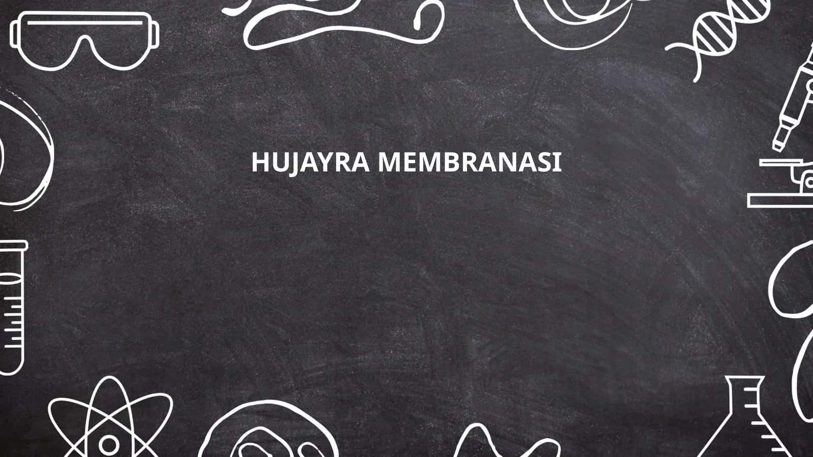 HUJAYRA MEMBRANASI
