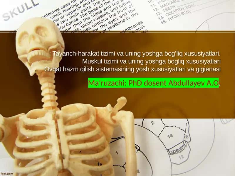 Tayanch-harakat tizimi va uning yoshga bog’liq xususiyatlari