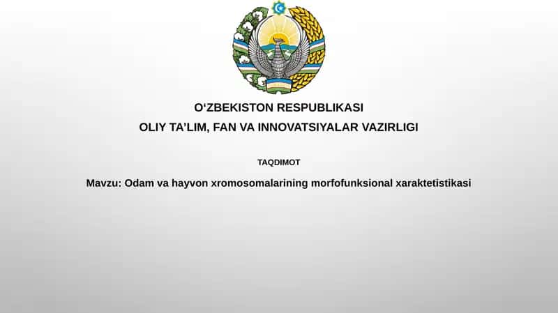 Odamvahayvonxromosomalariningmorfofunksionalxaraktetistikasi