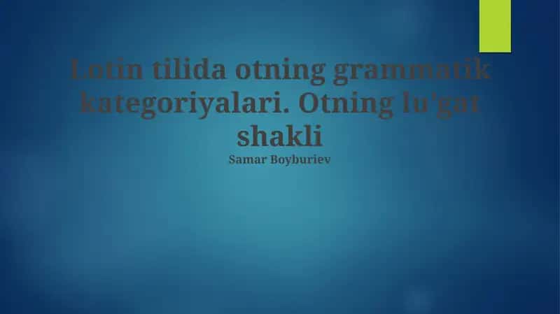 Otning grammatik kategoriyalari