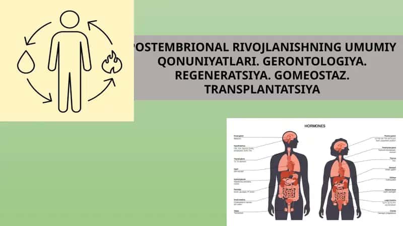 POSTEMBRIONAL RIVOJLANISHNING UMUMIY QONUNIYATLARI