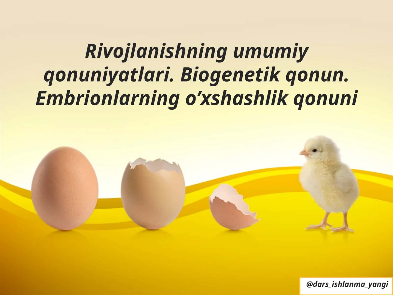 Embrion O‘xshashlik Qonuni