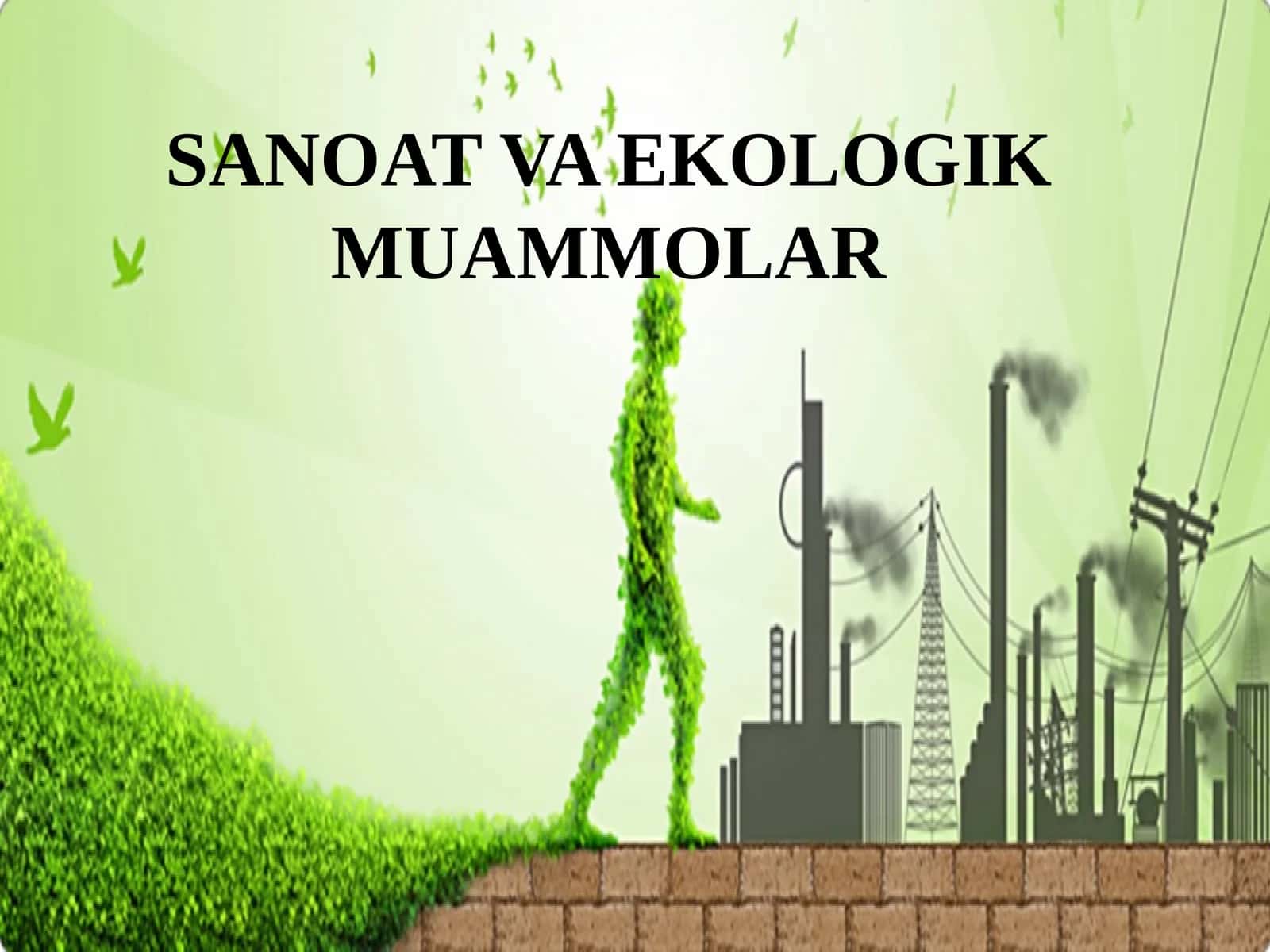 SANOAT VA EKOLOGIK MUAMMOLAR