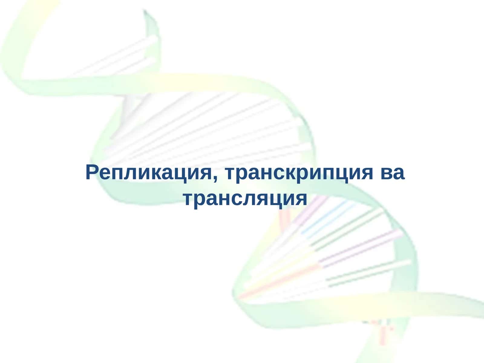 Транскрипция