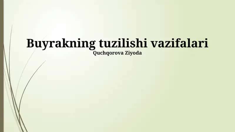 Nefronning tuzilishi va vazifasi