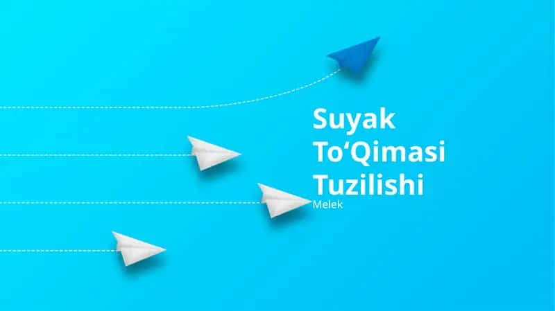 Suyak ToʻQimasi Tuzilishi