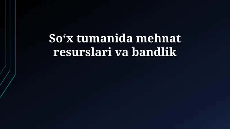 Soʻx tumanida mehnat resurslari va bandlik