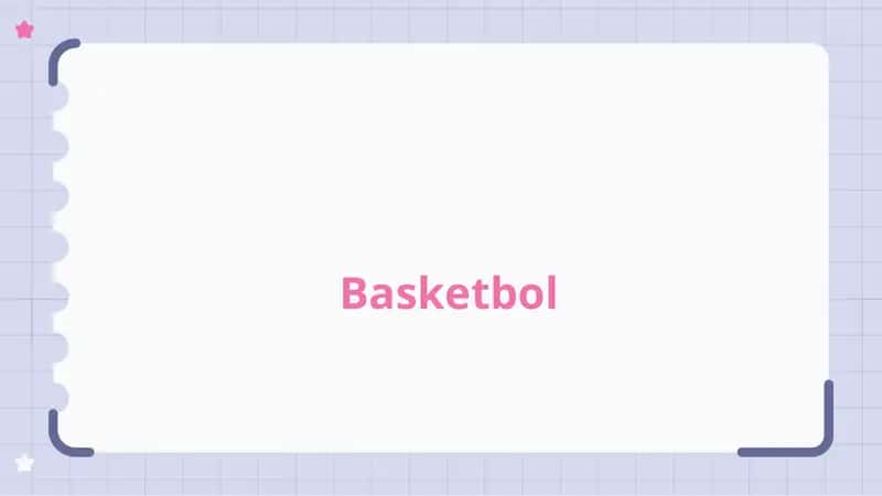 Basketbol 2