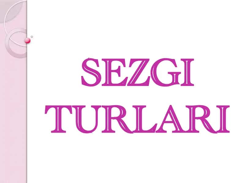 SEZGI TURLARI