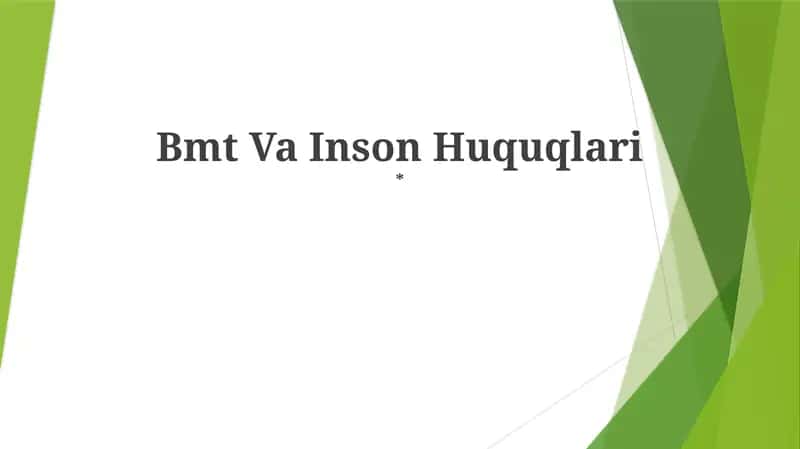 Bmt Va Inson Huquqlari