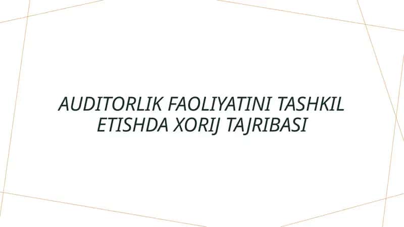 Auditorlik faoliyatini tashkil etishda xorij tajribasi