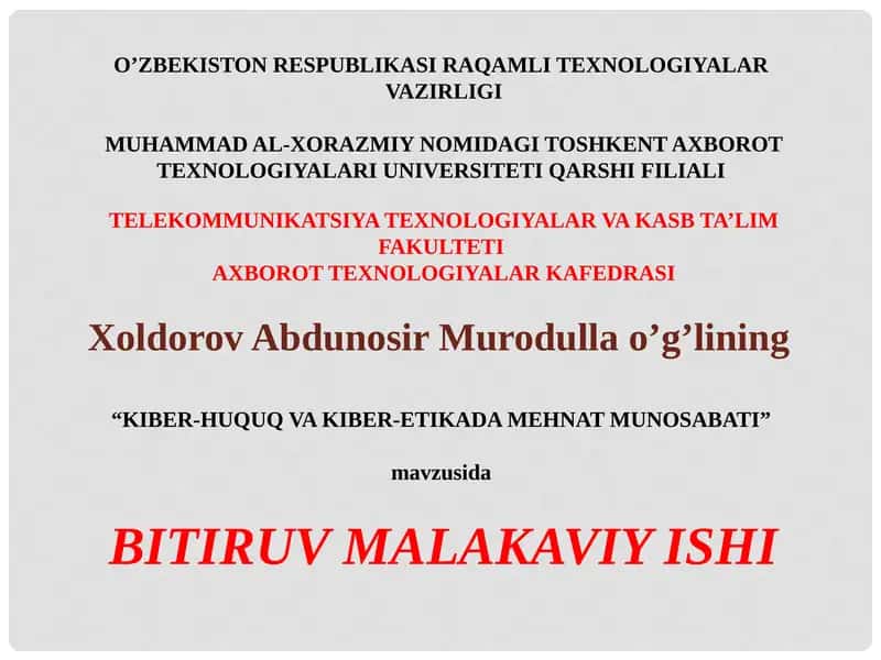 KIBER-HUQUQ VA KIBER-ETIKADA MEHNAT MUNOSABATI