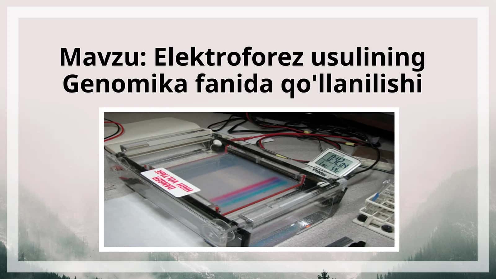 Elektroforez usulining Genomika fanida qo'llanilishi
