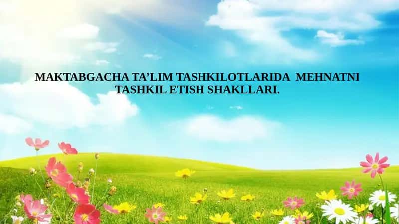 MAKTABGACHA TA’LIM TASHKILOTLARIDA MEHNATNI TASHKIL ETISH SHAKLLARI.