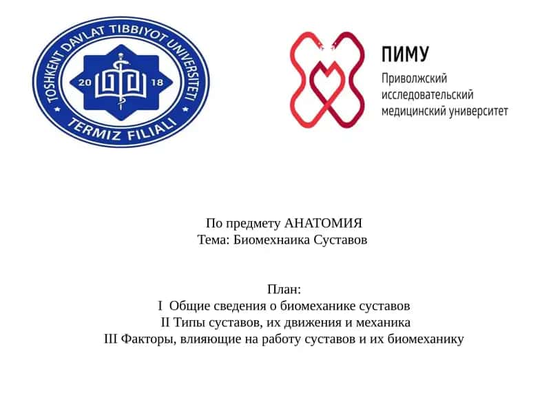 Биомехнаика Суставов