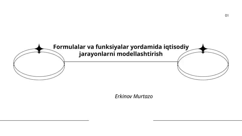 Formula va funksiyalar yordamida iqtisodiy jarayonlarni modellashtirish