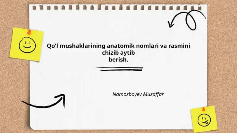 Qo'l mushaklarining anatomik nomlari va rasmini chizib aytibberish