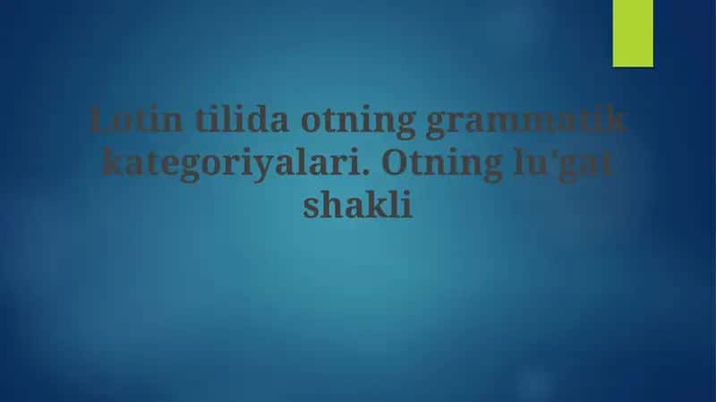 Otning grammatik kategoriyalari