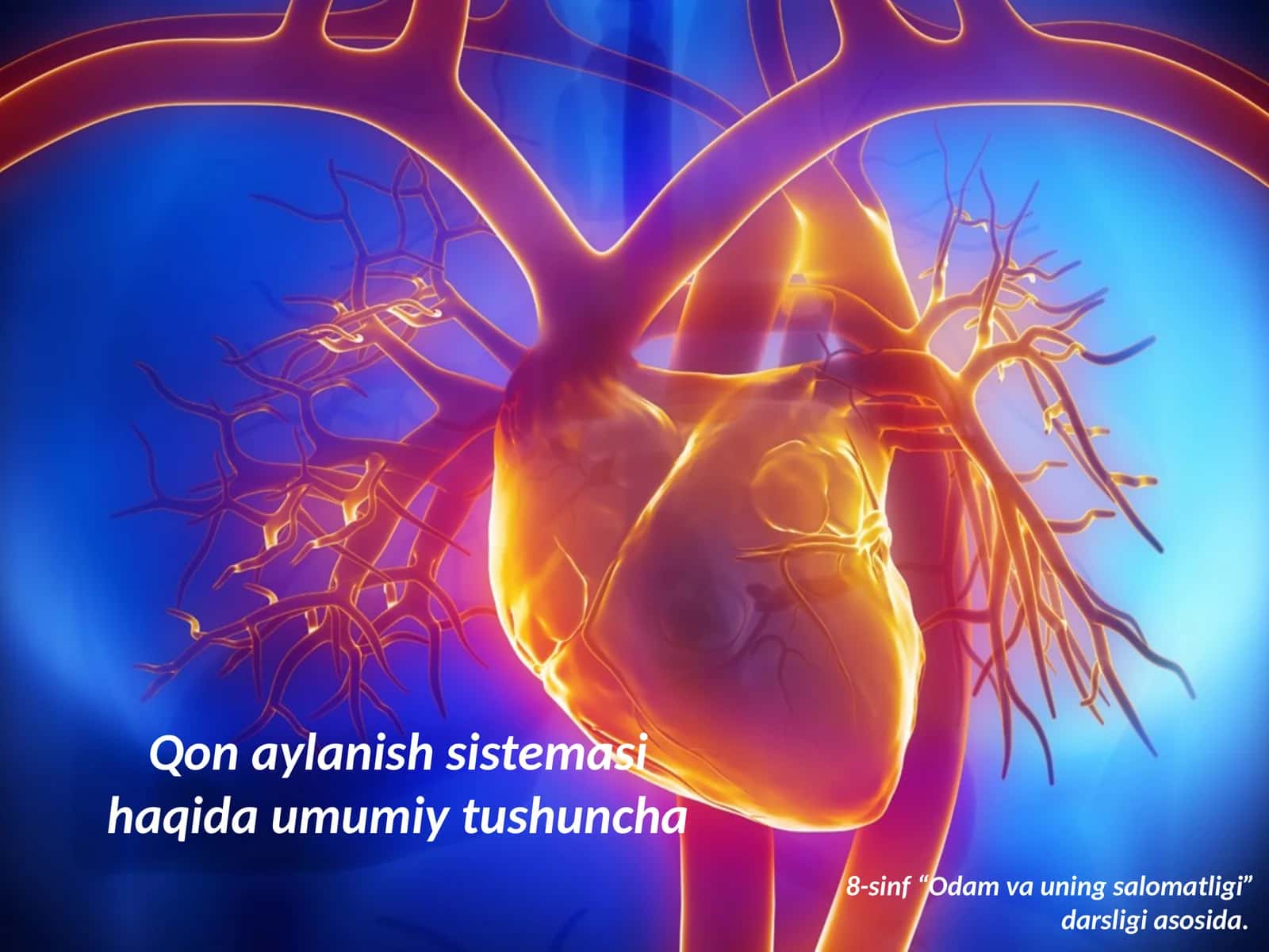 Qonaylanish sistemasi haqida umumiy tushuncha