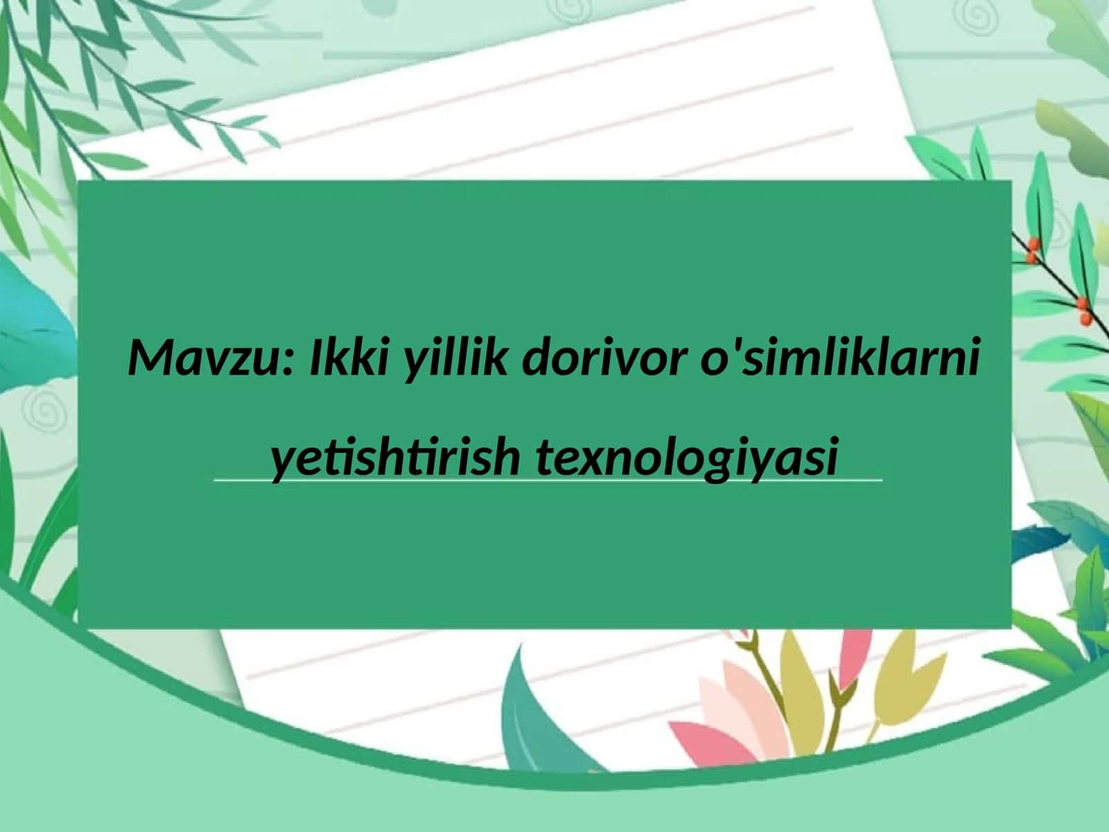 Ikki yillik dorivor o'simliklarni yetishtirish texnologiyasi