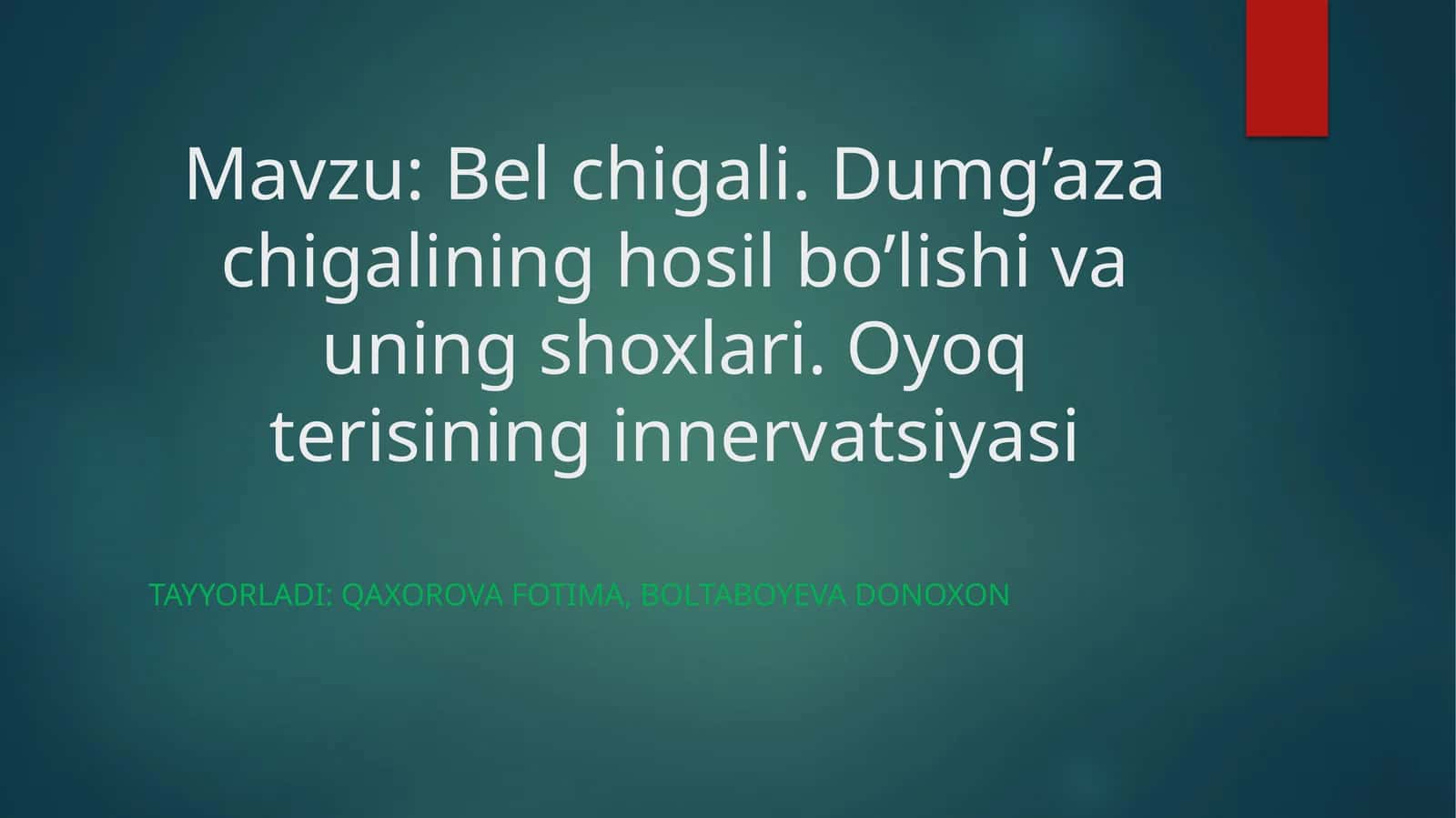 Bel chigali. Dumg’aza chigalining hosil bo’lishi va uning shoxlari. Oyoq terisining innervatsiyasi