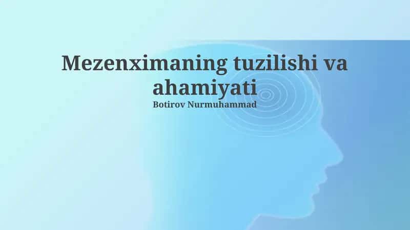Mezenximaning tuzilishi va ahamiyati