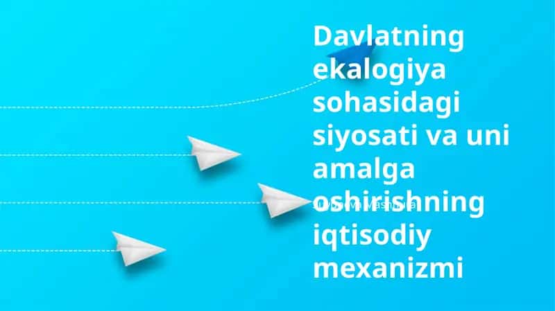 Davlatning ekalogiya sohasidagi siyosati va uni amalga oshirishning iqtisodiy mexanizmi