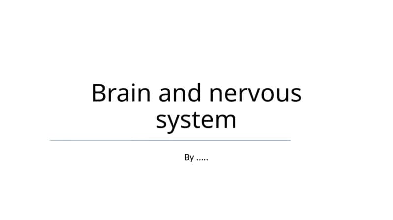 Brain and nervous system