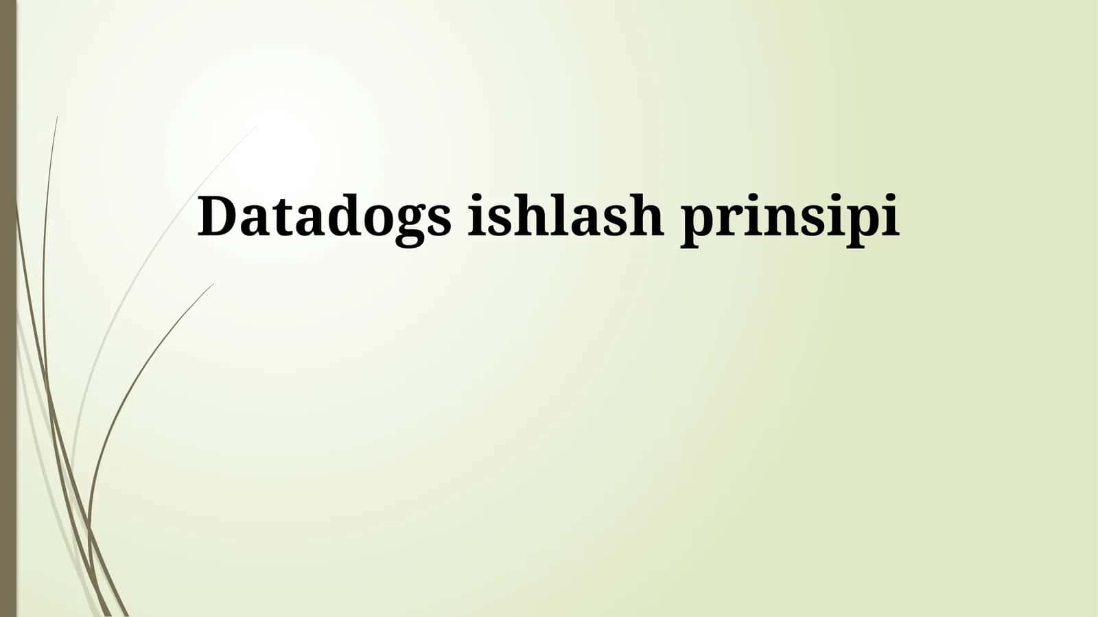 Datadogs ishlash prinsipi