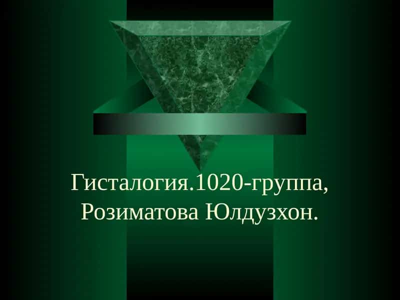 Гисталогия.1020-группа,Розиматова Юлдузхон