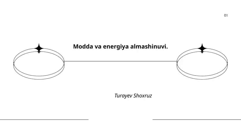 Modda va energiya almashinuvi