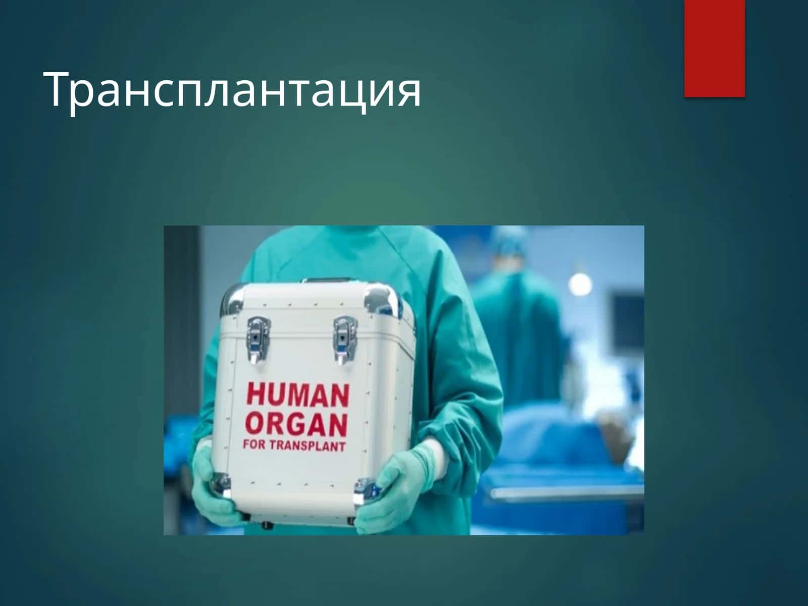 Трансплантация