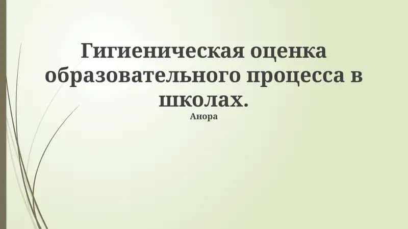 Гигиеническая оценка образовательного процесса в школах