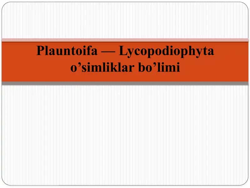 Plauntoifa — Lycopodiophyta bo’limi