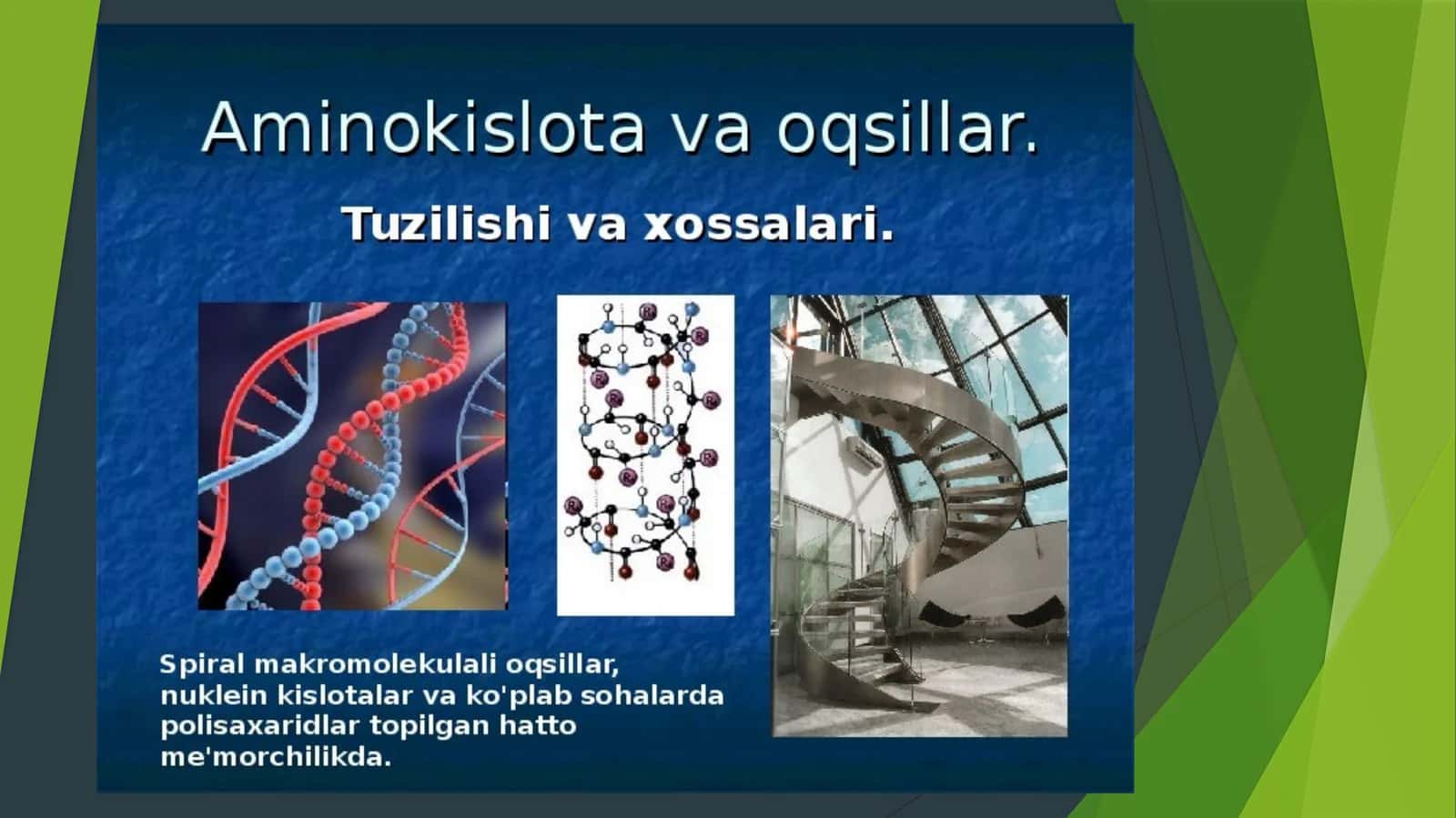 Aminokislota va oqsillar