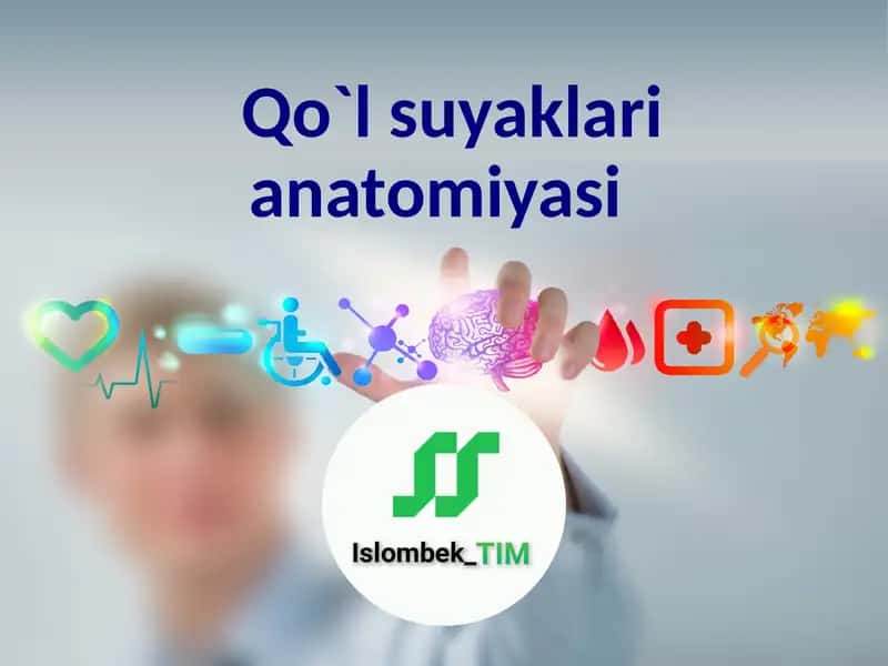 Qo`l suyaklari anatomiyasi