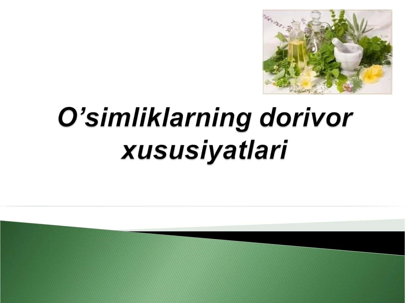 O'simlik haqida ma'lumot