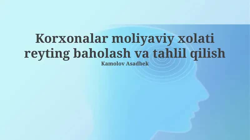 Korxonalar moliyaviy xolati reyting baholash va tahlil qilish