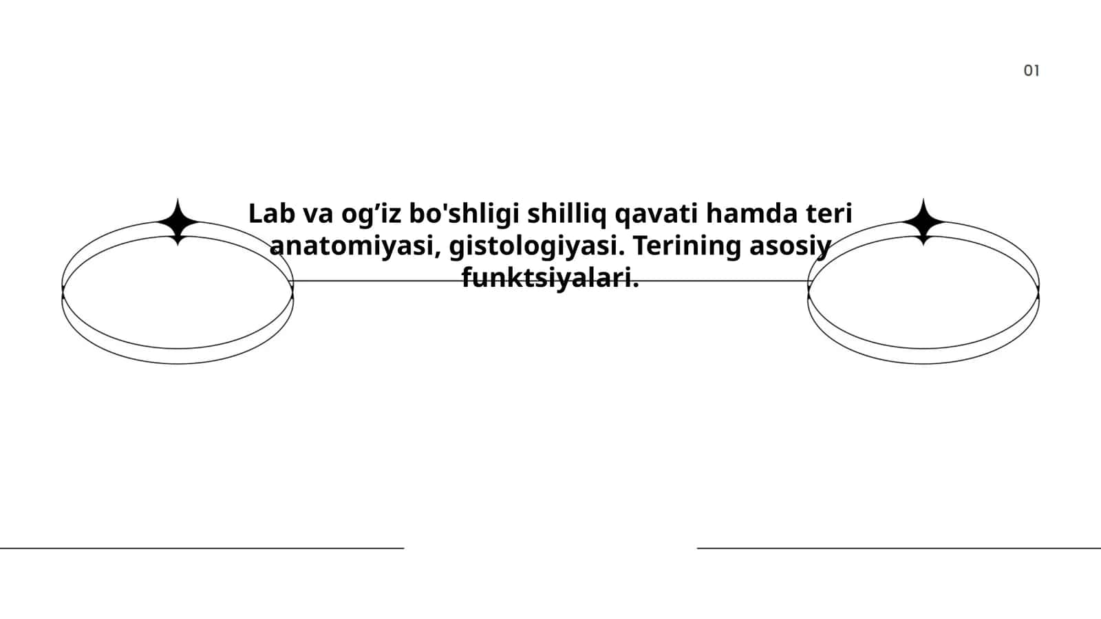 Terining anatomik tuzilishi
