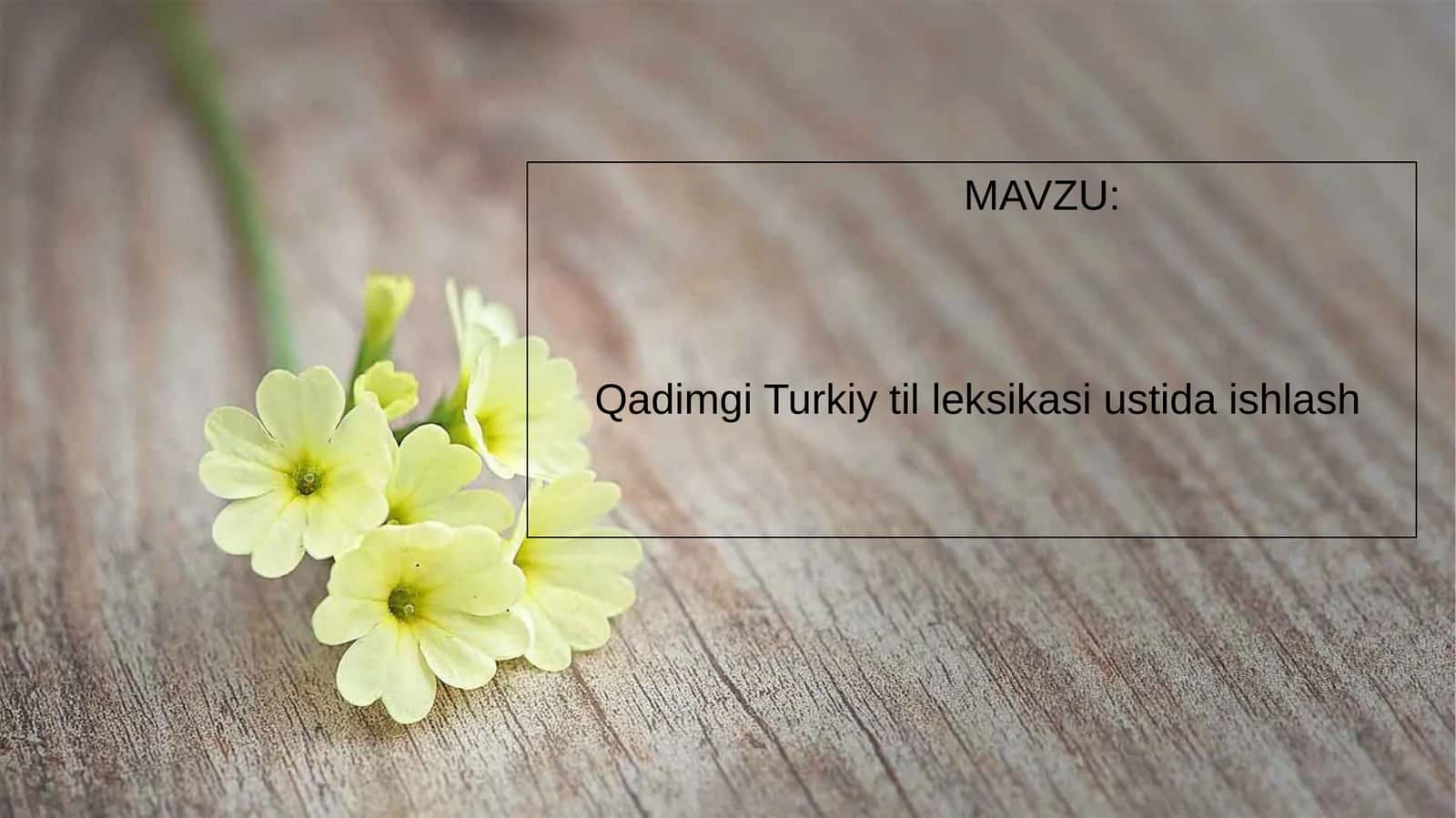 Qadimgi Turkiy til leksikasi ustida ishlash