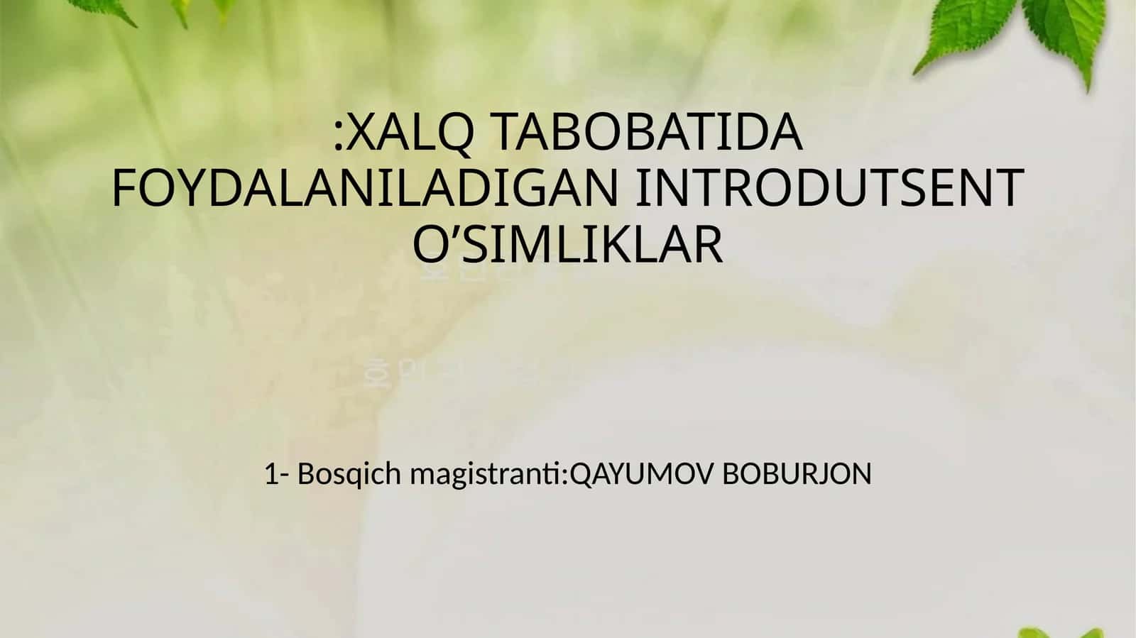 INTRODUTSENT O’SIMLIKLAR